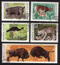 Forest Wildlife: Black Stork, Wild Pig & Piglets, Etc. - Complete Set of 5 Diff