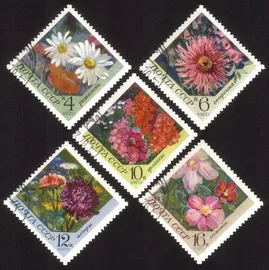 Flowers: Daisy, Dahlia, Phlox, Aster, Clementis - Cplt Set of 5 Diff (Diamond)