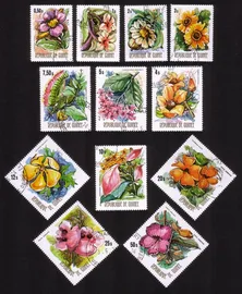 Various Flowers: Clappertonia Ficifolia, Kigelia Africana, Etc. Cplt Set of 12