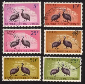 Birds: Gray-Breasted Helmet Guinea Fowl: Colored Backgrounds. Cplt Set of 6 Diff