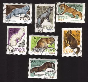 International Fur Auctions In Leningrad: Ermine, Sable, Mink, Etc Cplt Set of 7