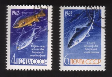 Fish Preservation in The USSR (1962): Freshwater Salmon, Carp, Bream Cplt Set 2