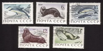 Sea Mammals: Dolphins, Sea Otters, Narwhals, Walrus, Etc Complete Set of 5 Diff