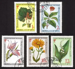 Medicinal Plants: Ginseng, Echinopanax Elatum, Etc. - Complete Set of 5 Diff.