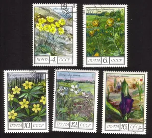 Regional Flowers: Polar Poppies, Globeflowers, Buttercups, Etc. Cplt Set of 5.