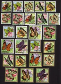 Butterflies: Papilio Zenobia, Salamis Temora, Etc. Complete Set of 25 Different