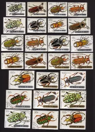 Various Beetles, Weevils & Bugs: Sternotomis Bohemani, Etc. Complete Set of 25.