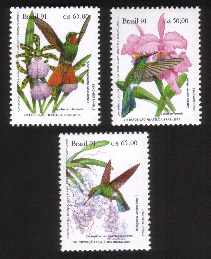 Orchids & Hummingbirds: Colibri Serrirostris, Cattleya Warneri... Cplt Set of 3