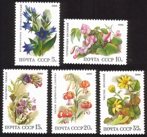 Flowers In Deciduous Forests: Campanula Latifolia, Etc. Complete Set of 5 Diff