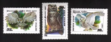 Owls: Nyctea Scandiaca, Bubo Bubo, Asio Otus - Complete Set of 3 Different