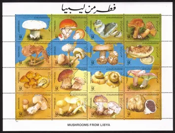 Mushrooms: Amanita Rubenscens, Etc. Complete Miniature Sheet of 16 Different