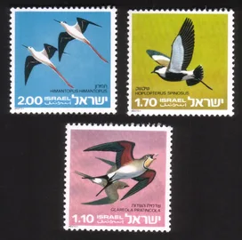 Protected Birds: Black-Winged Stilts, Collared Pratincoles, Etc. Cplt Set of 3