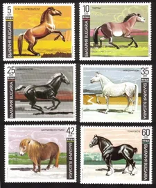 Horses: Tarpan, Arabian, Shetland Pony, Draft Horse, Etc Complete Set of 6 Diff