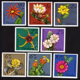 Flowering Succulent Plants: Complete Set of 8 Different