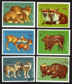 Young Animals: Lynx, Foxes, Roe Fawns, Wild Pigs, Wolves, Bears. Cplt Set of 6.